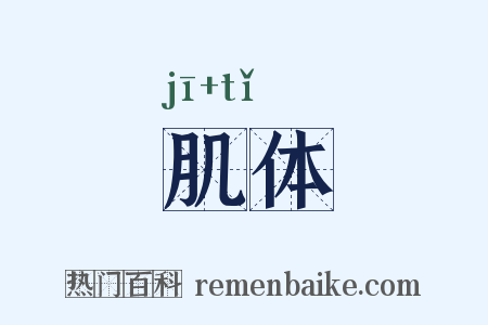 肌体是什么意思的图片